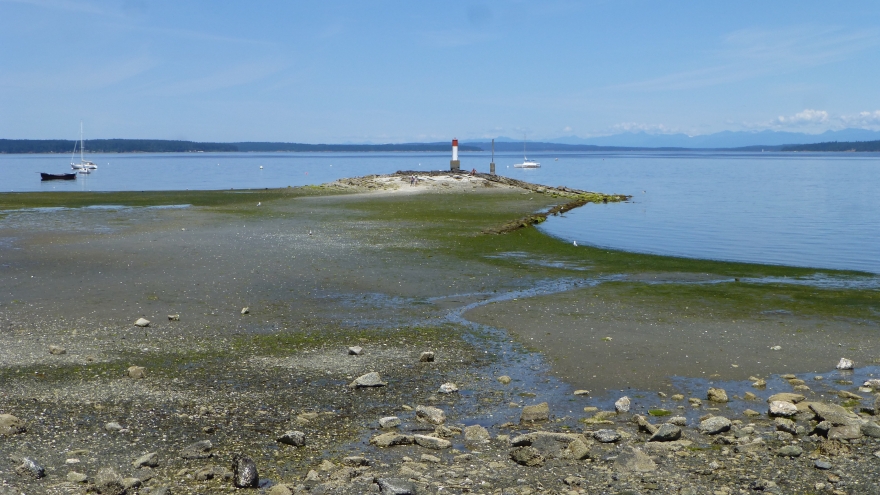 Lighthouse ocean view