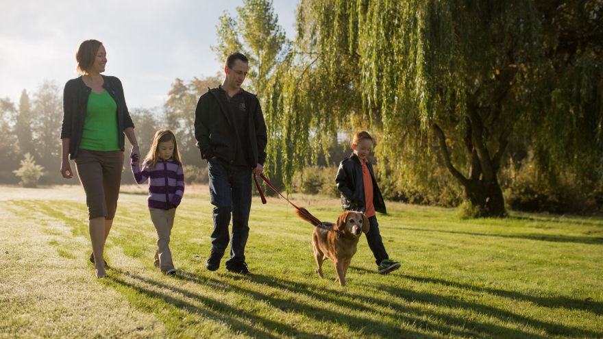 Family walking dog in field