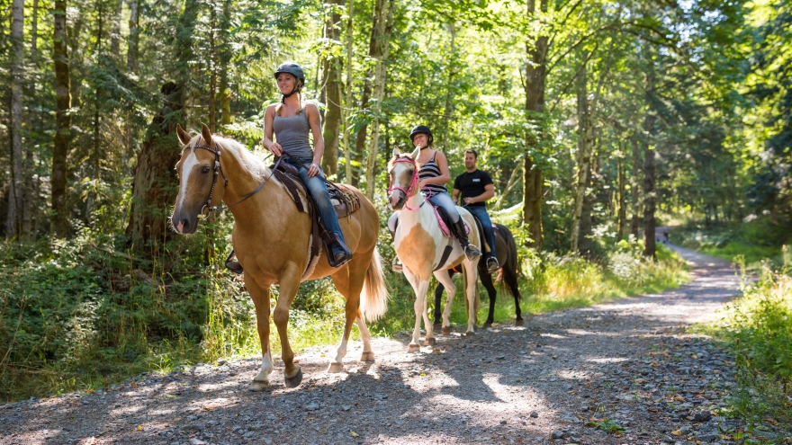 Horseback riding on wooded trail