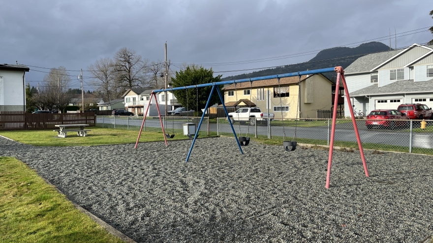 Hawkes Park swings