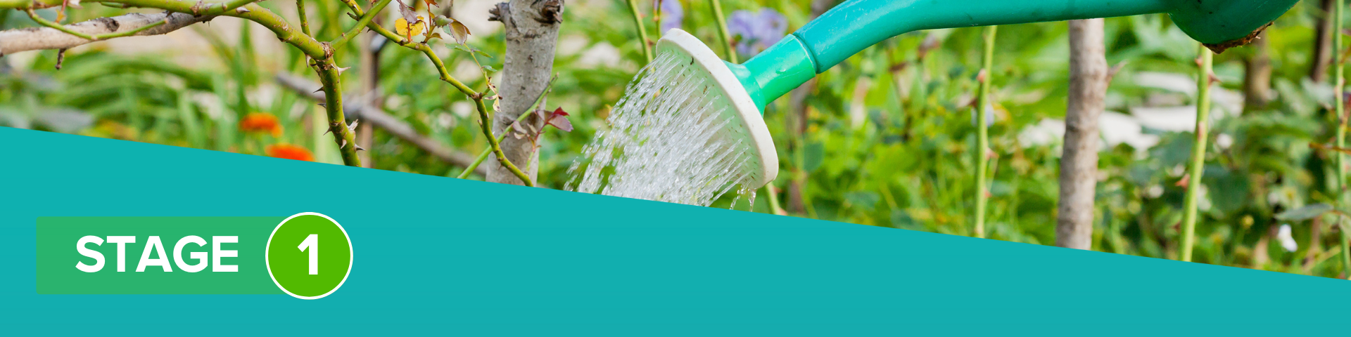 Stage 1 water restriction