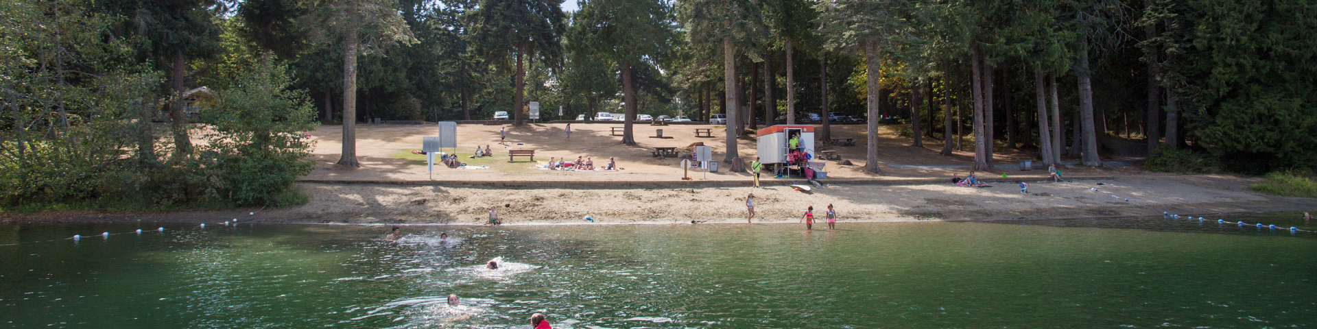 Lake beach with swimmers