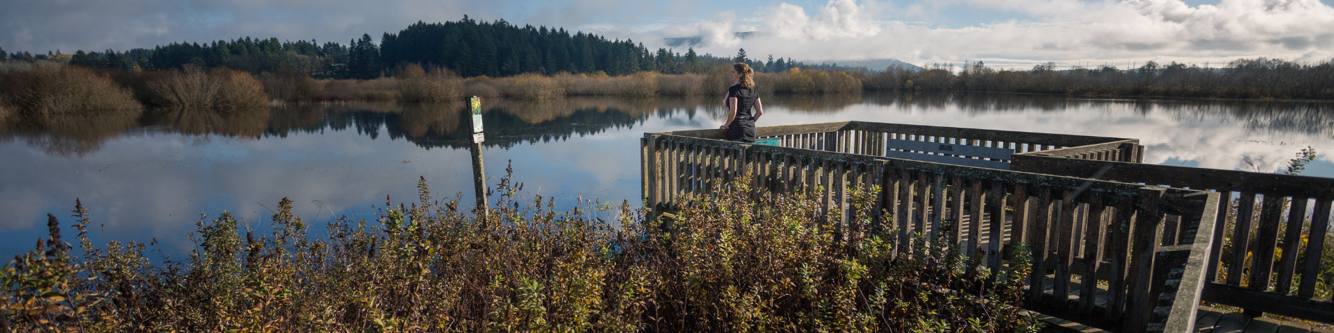 Boardwalk overlooking Somenos lake and marsh