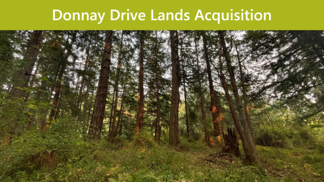 Donnay Drive Lands Acquisition Local Area Service